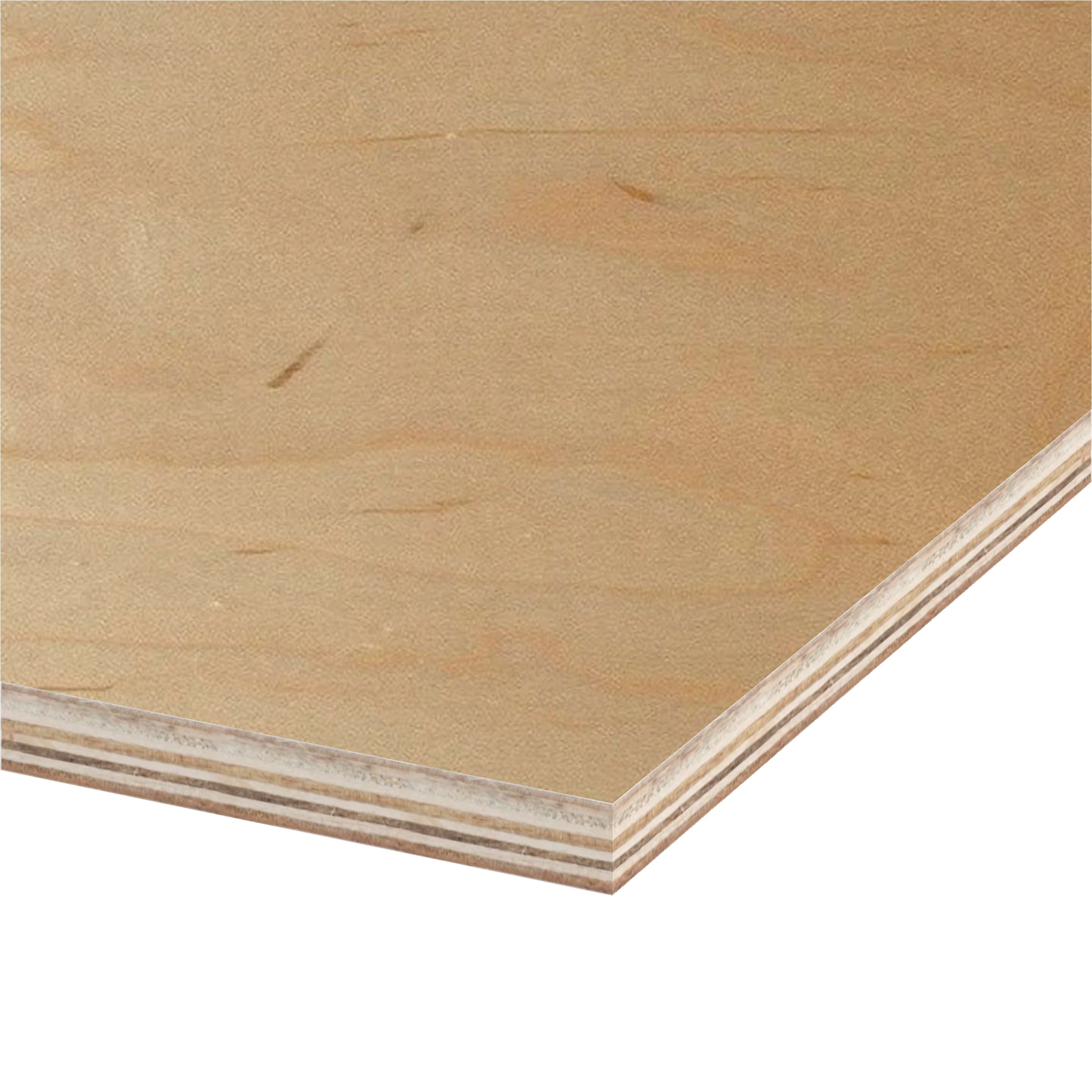 Birch Prefinished Plywood 4 ft x 8 ft (Imported Plywood) - Image 9