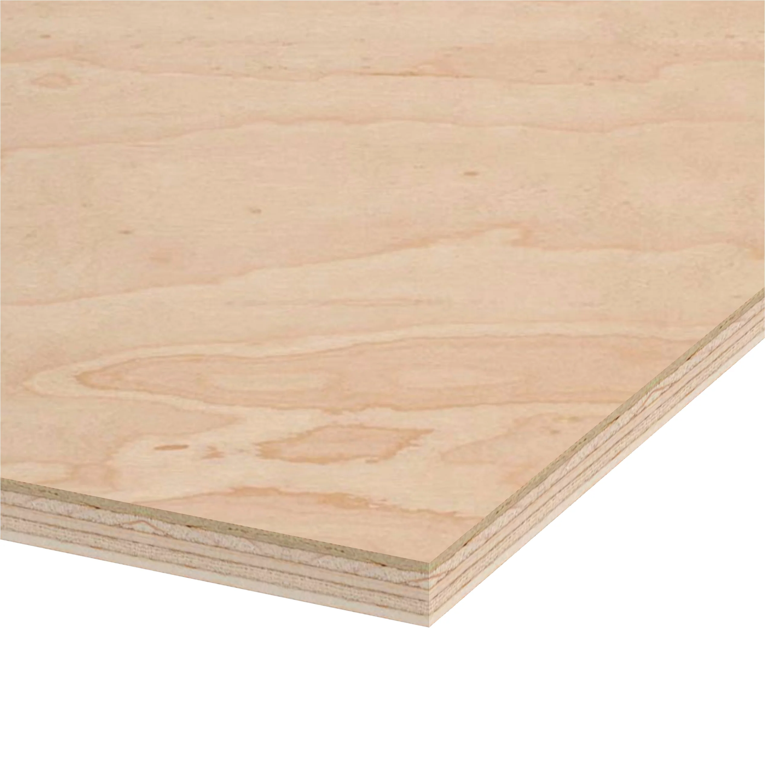 Maple Prefinished Plywood 4 ft x 8 ft (Imported Plywood) - Image 7