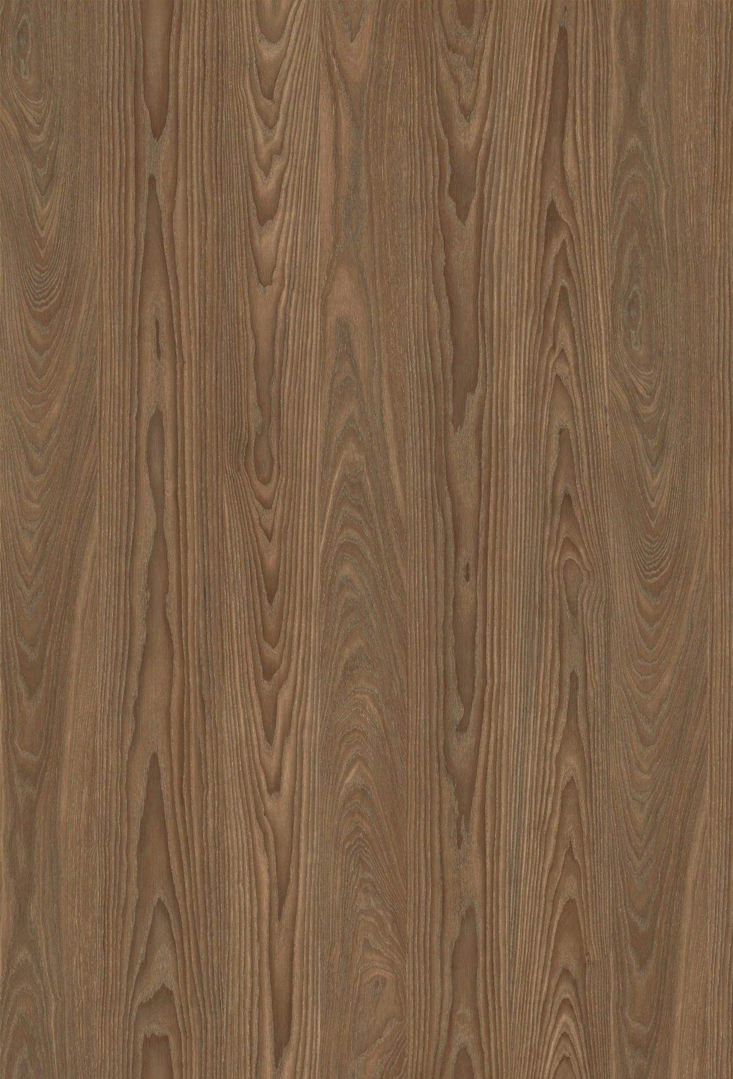 Pampas Melamine 7 Ft X 9 Ft - Image 3