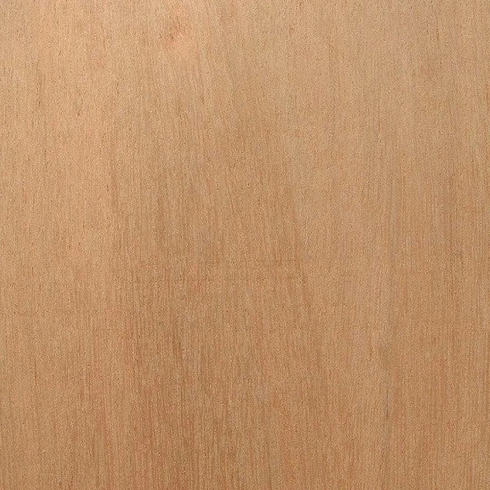 PLYWOOD POPLAR 4X8 25MM Made in Italy M4 DERBY BB/BB - Image 3