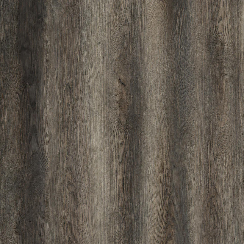 T-MOULDING GIORGIA PARIGI 8"